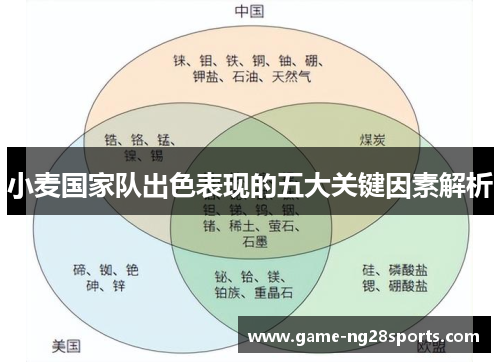 小麦国家队出色表现的五大关键因素解析